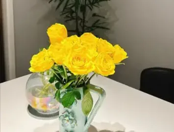 黃玫瑰花語全解析:別再誤會它的真正意義